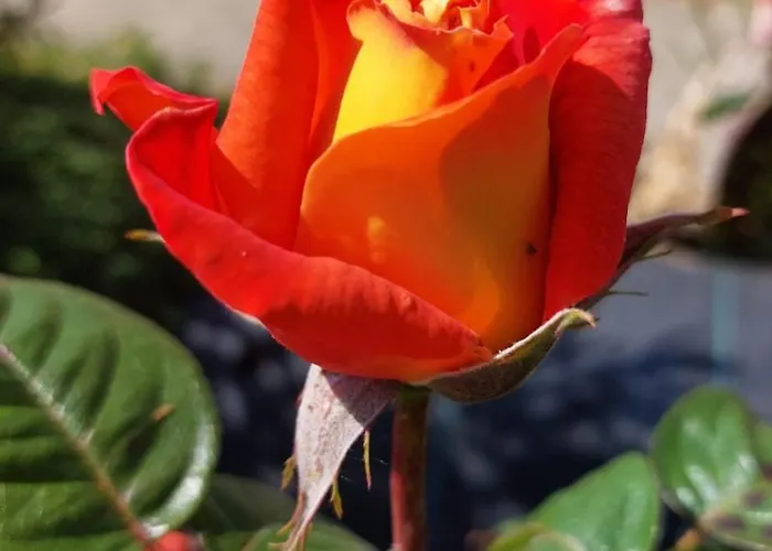 Arvor Et Tevenn Dom wakacyjny Saint-Brévin-les-Pins