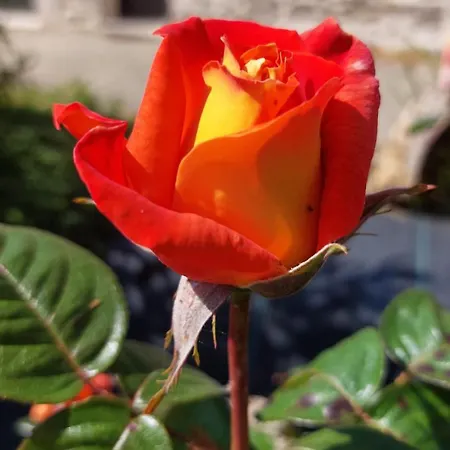 Arvor Et Tevenn Сasa de vacaciones Saint-Brevin-les-Pins