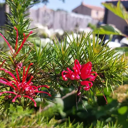 Сasa de vacaciones Arvor Et Tevenn Saint-Brevin-les-Pins