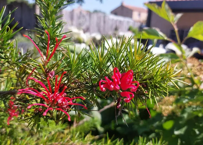 Nyaraló Arvor Et Tevenn Saint-Brévin-les-Pins